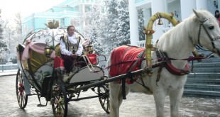 Сказку про принца на белом коне Ирина Спирина делает былью
