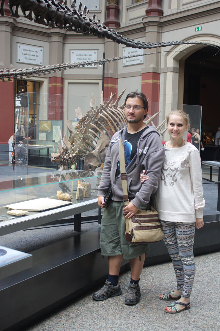 стегозавр я и моя жена