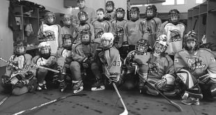 хоккейная команда юниоров «Стрижи»